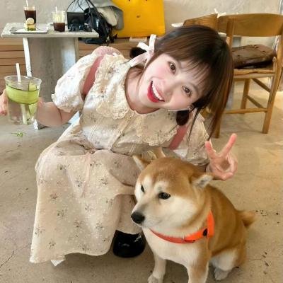 南法撩妹记