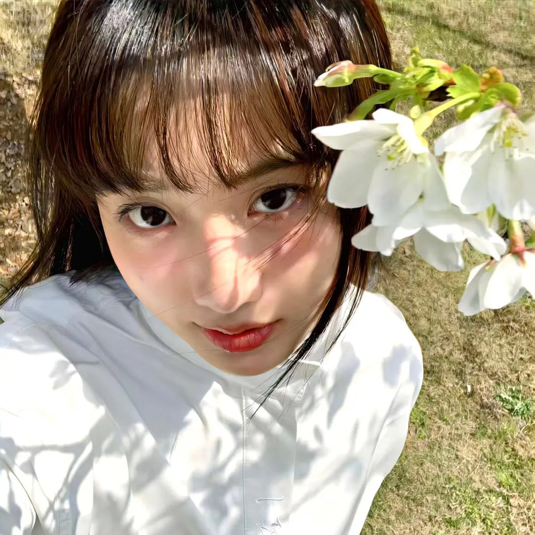 群莺乱飞